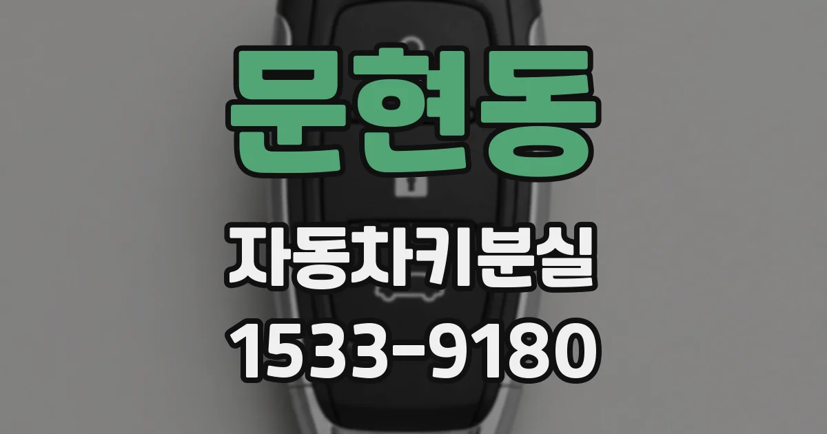 문현동 자동차키분실