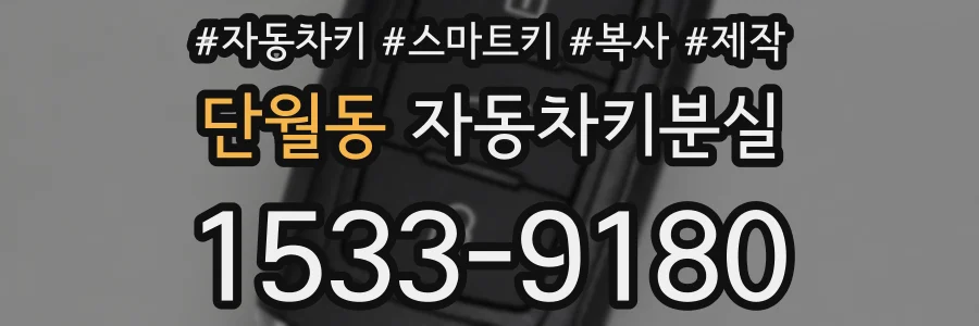 단월동 자동차키분실