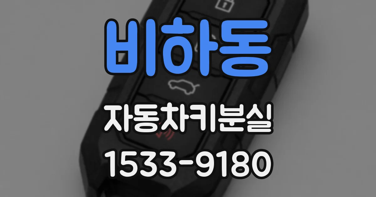 비하동 자동차키분실