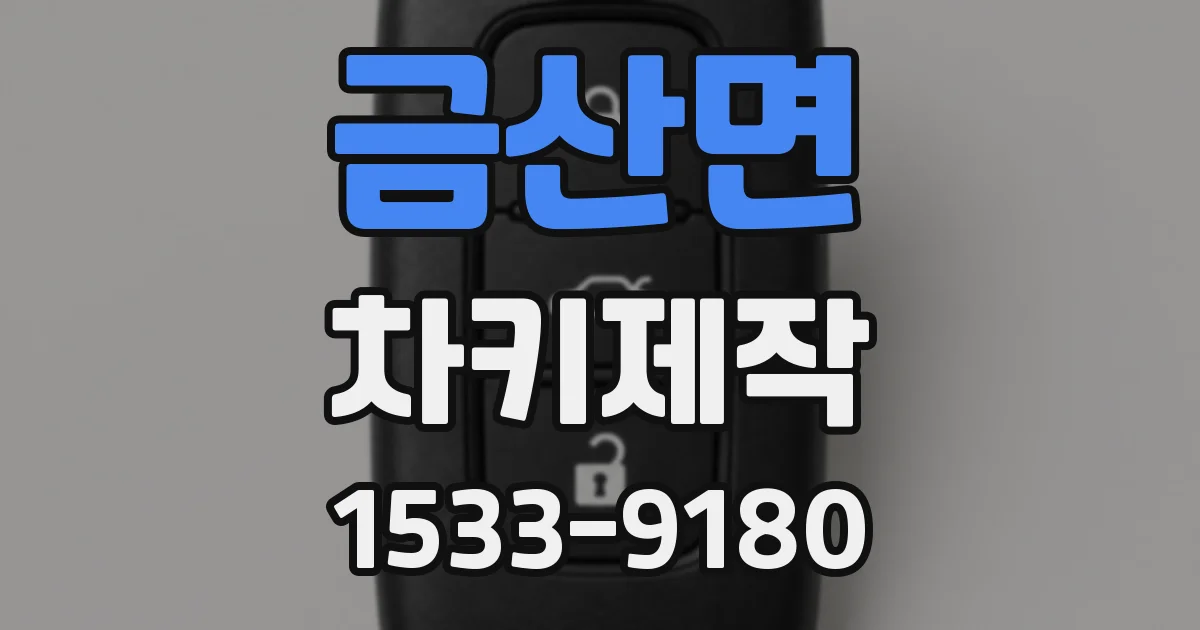 금산면 차키제작