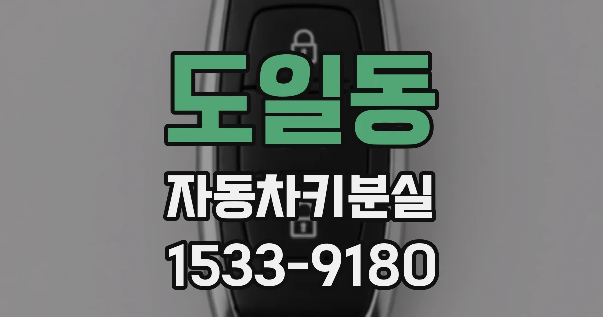 도일동 자동차키분실