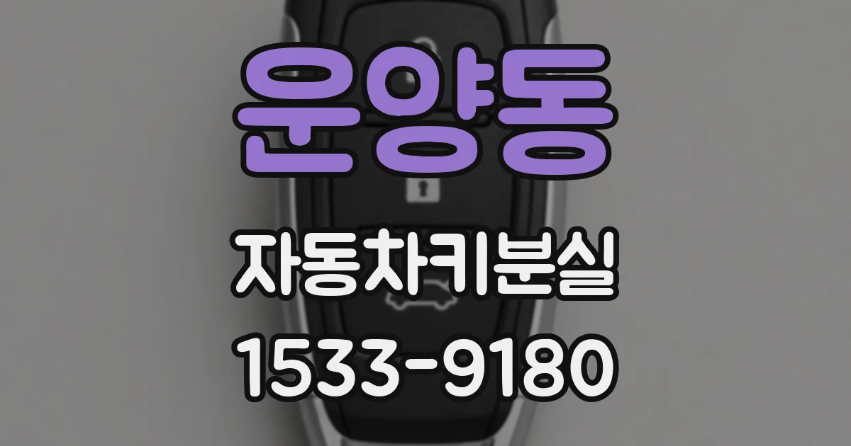 운양동 자동차키분실