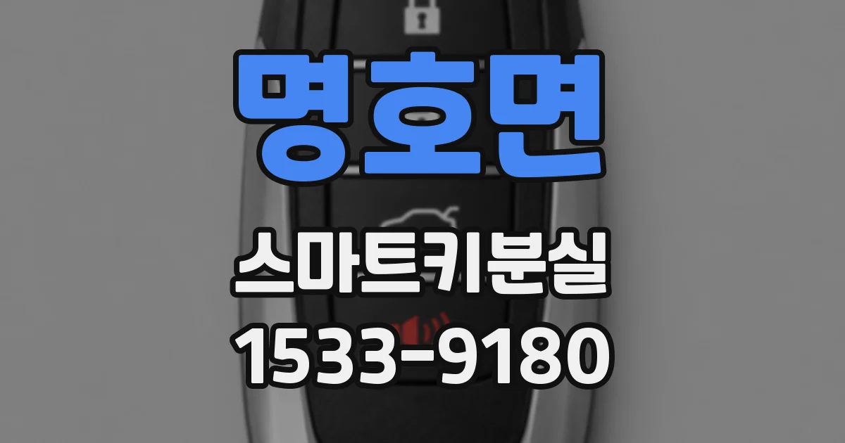 명호면 스마트키분실