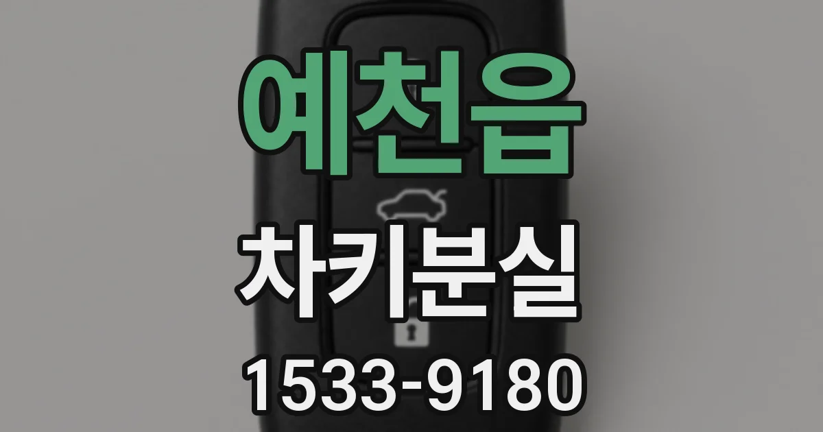 예천읍 차키분실