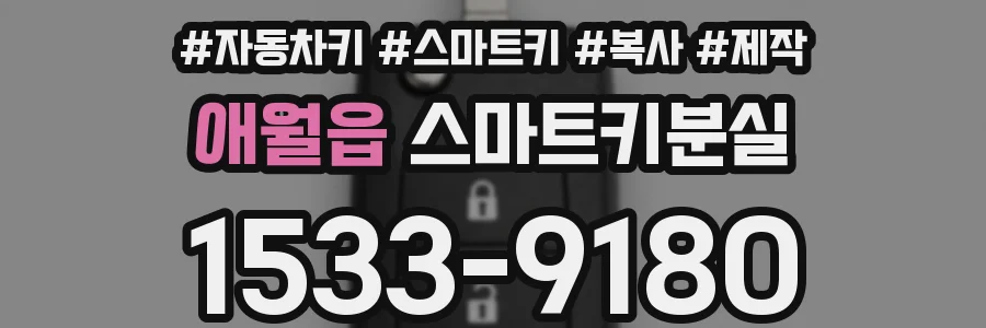 애월읍 스마트키분실