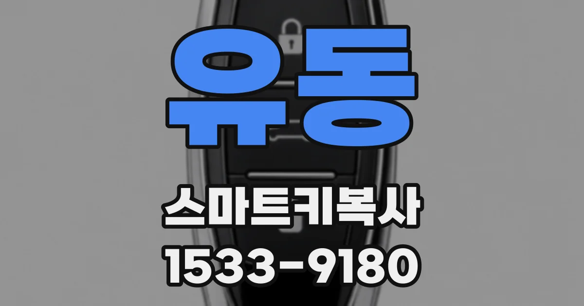 유동 스마트키복사