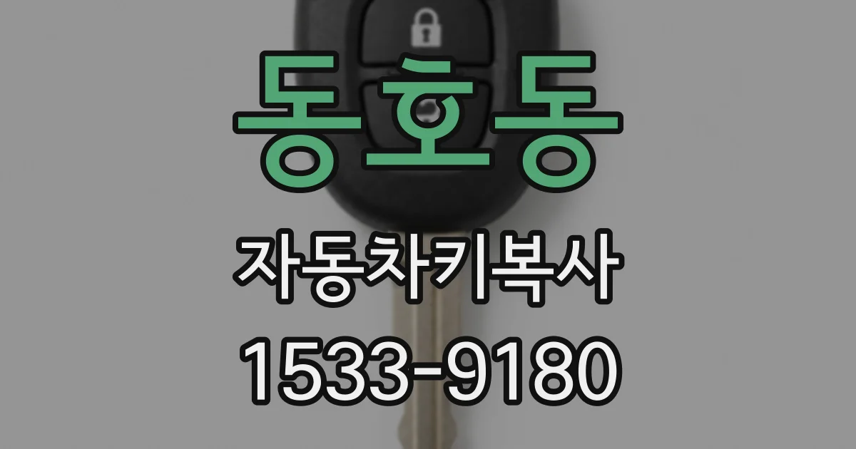 동호동 자동차키복사