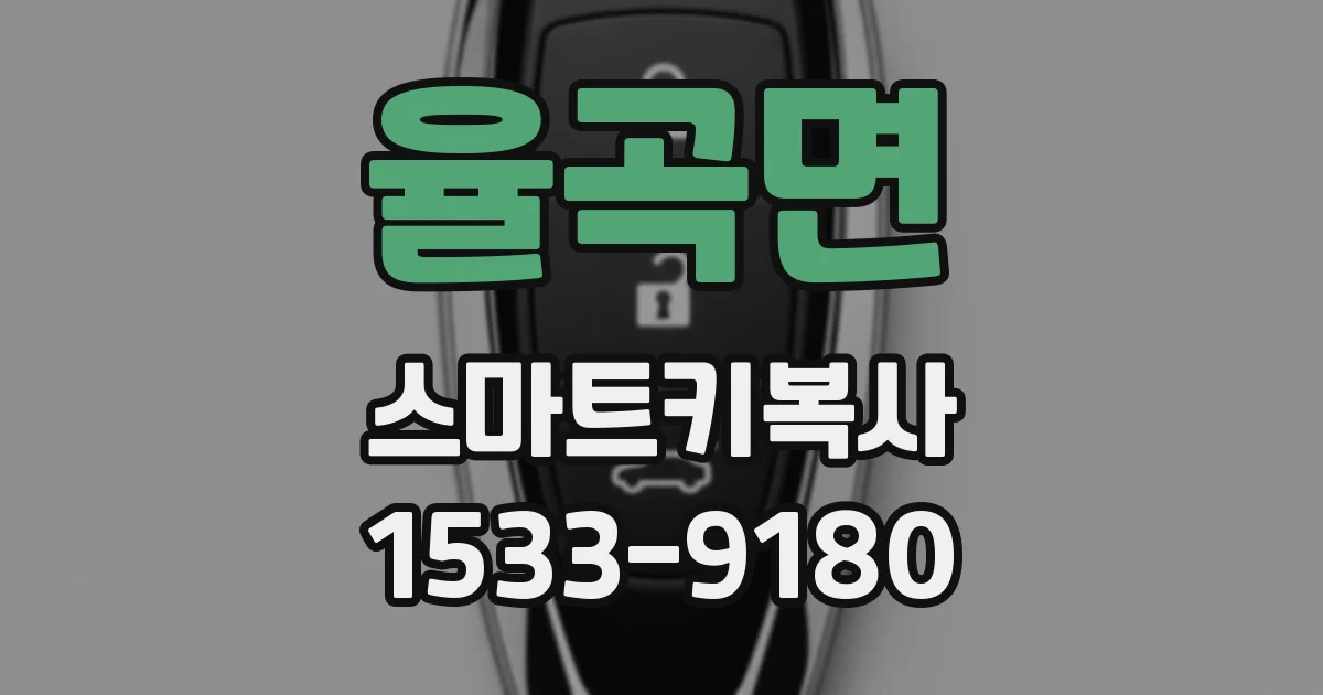 율곡면 스마트키복사