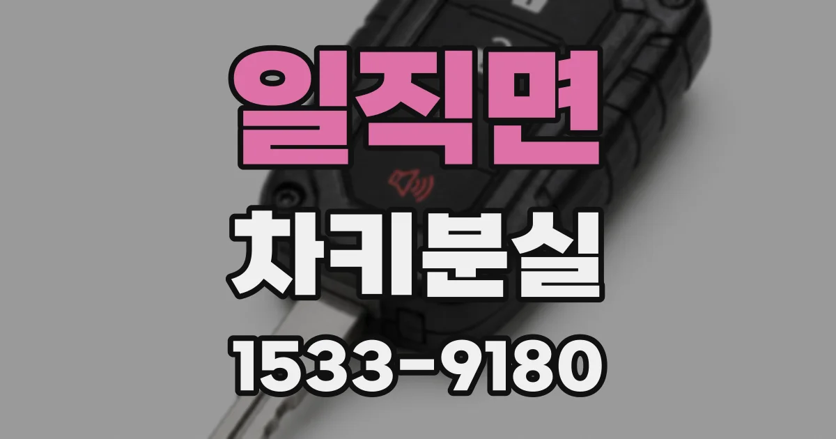 일직면 차키분실