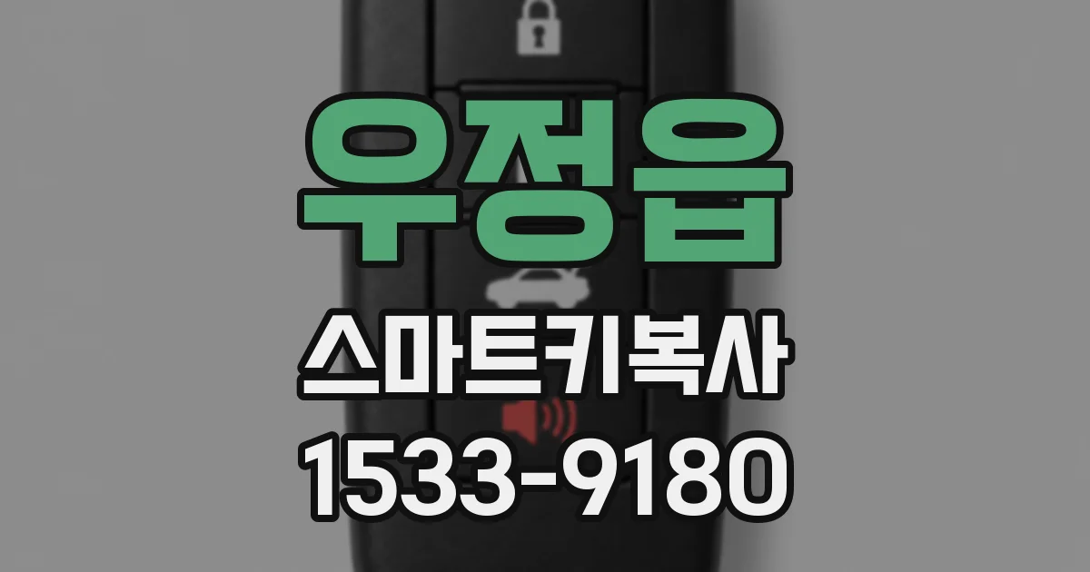 우정읍 스마트키복사