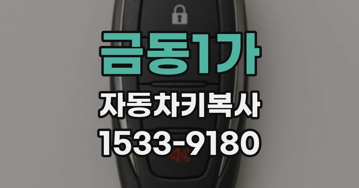 금동1가 자동차키복사