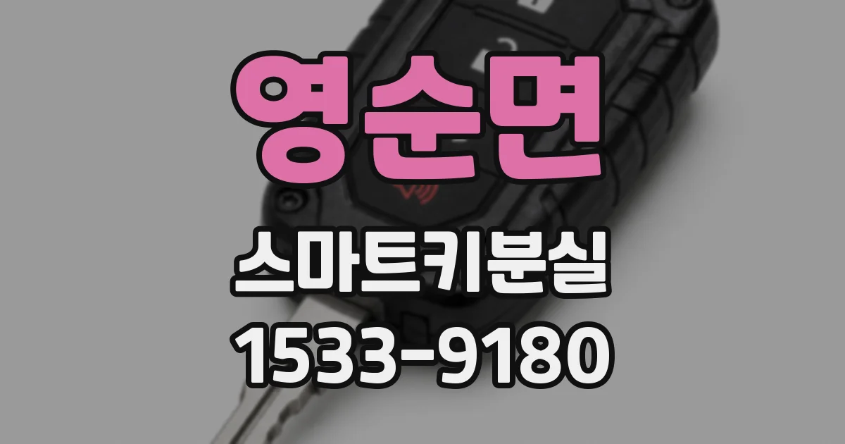 영순면 스마트키분실