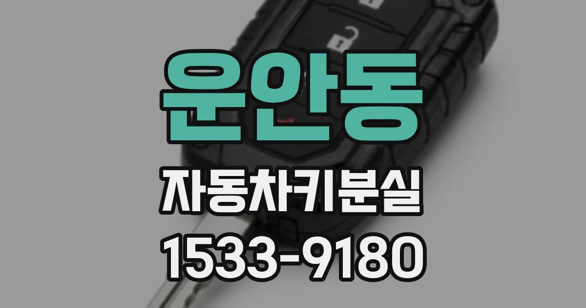 운안동 자동차키분실