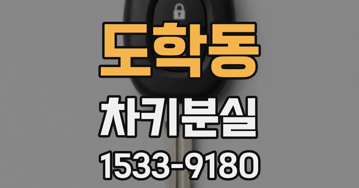 도학동 차키분실