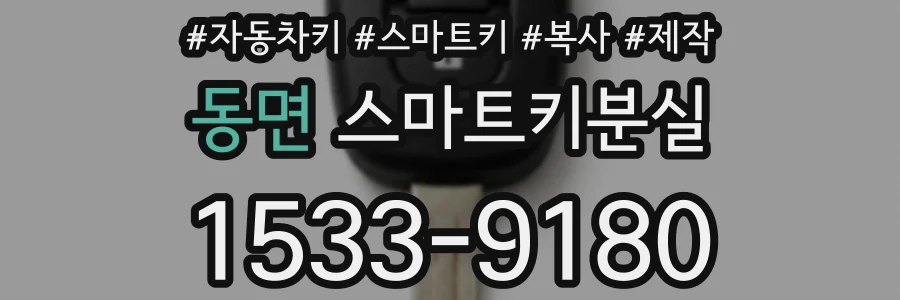 동면 스마트키분실
