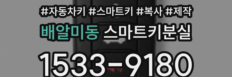 배알미동 스마트키분실