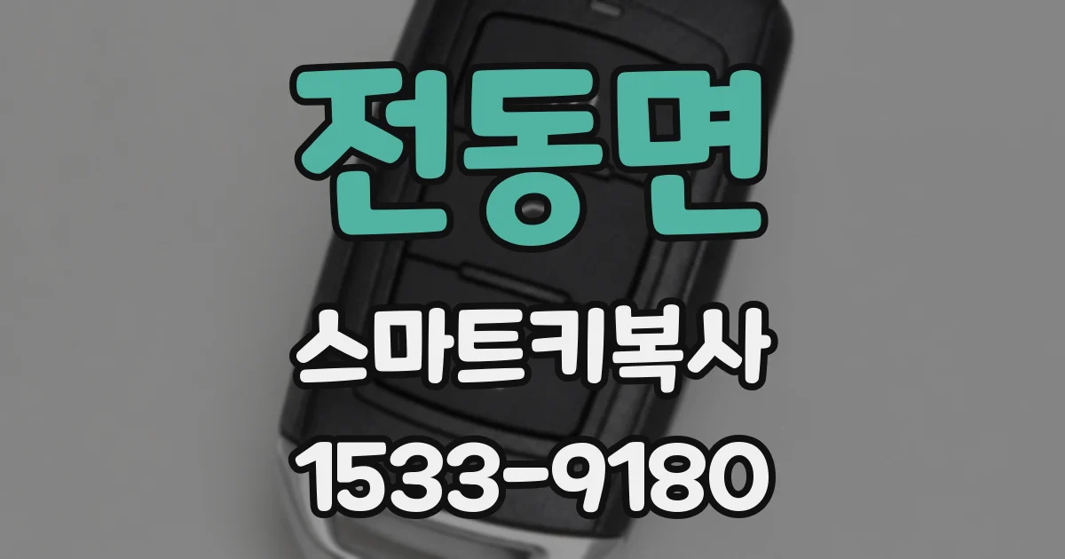 전동면 스마트키복사