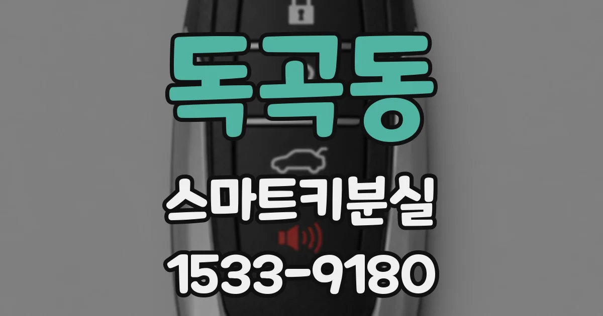 독곡동 스마트키분실