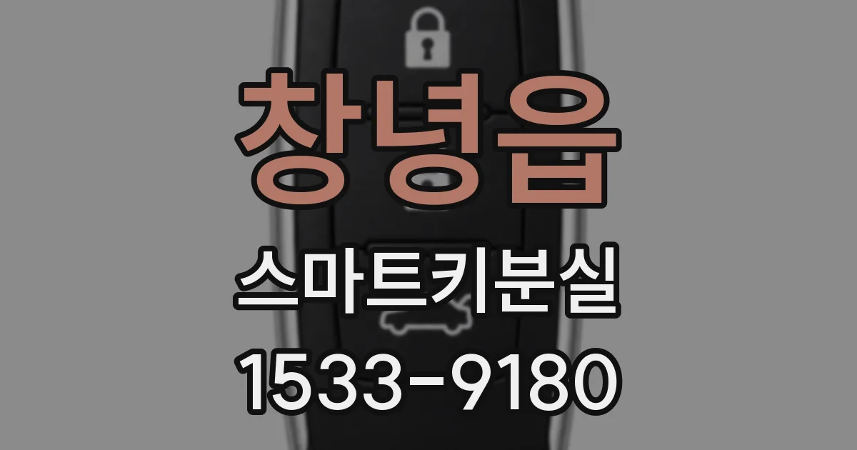 창녕읍 스마트키분실