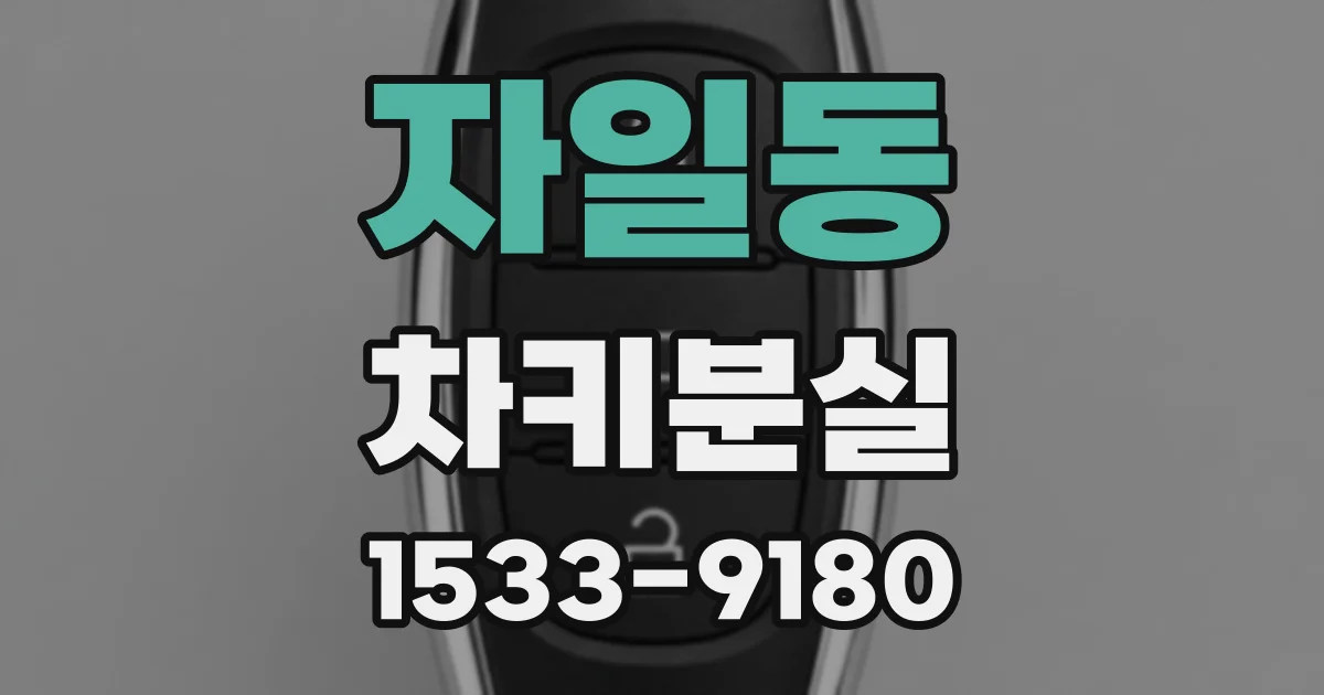 자일동 차키분실
