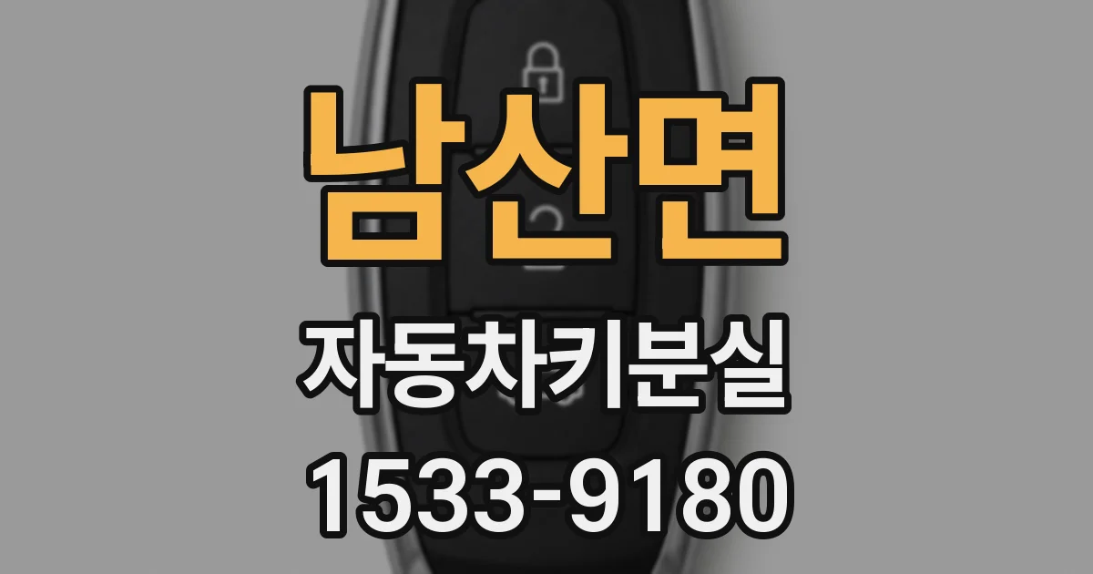 남산면 자동차키분실