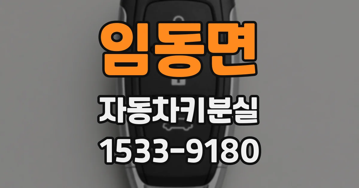 임동면 자동차키분실