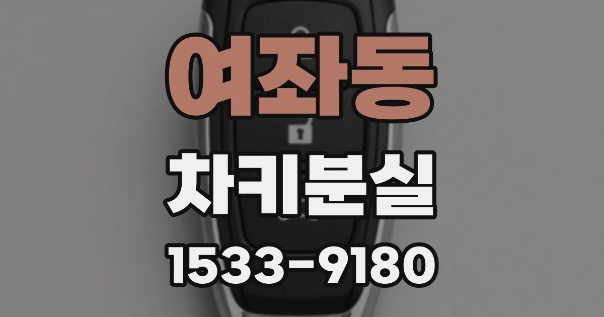 여좌동 차키분실