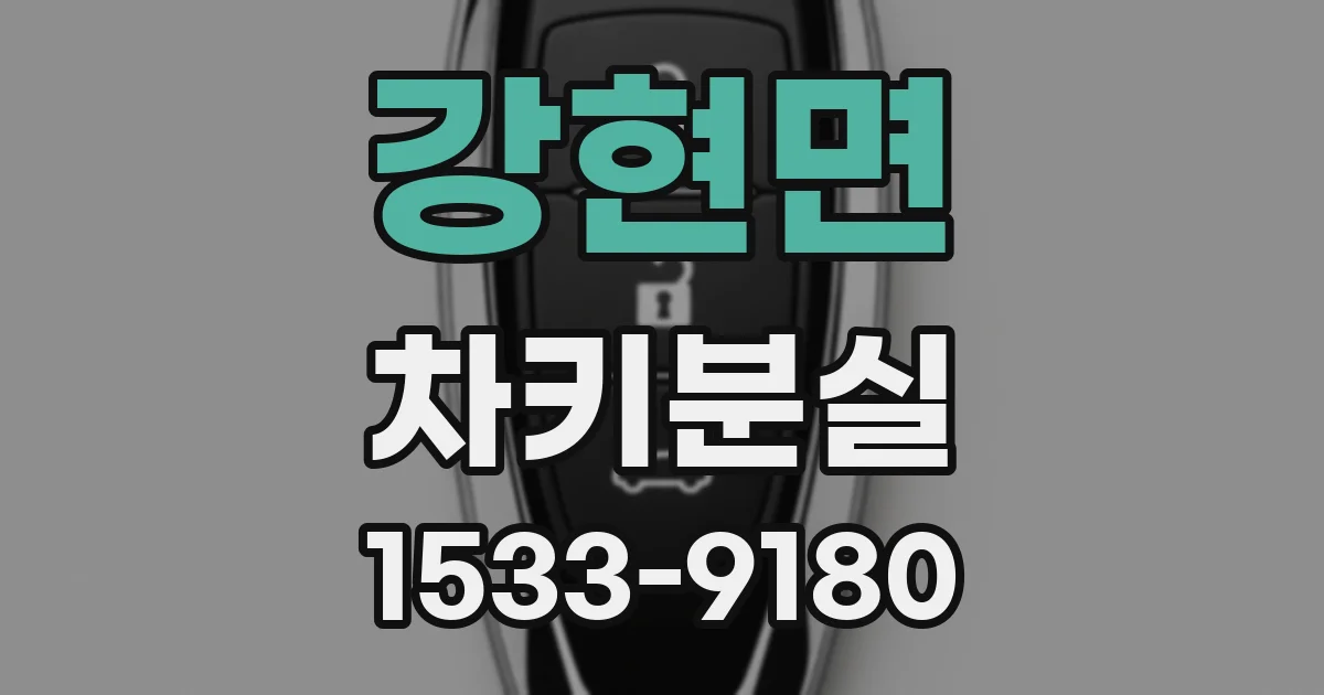 강현면 차키분실