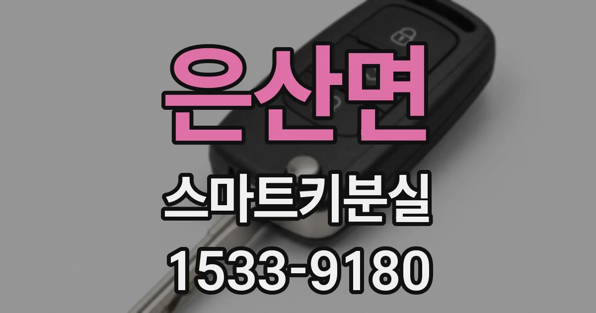 은산면 스마트키분실