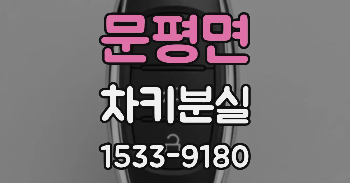 문평면 차키분실