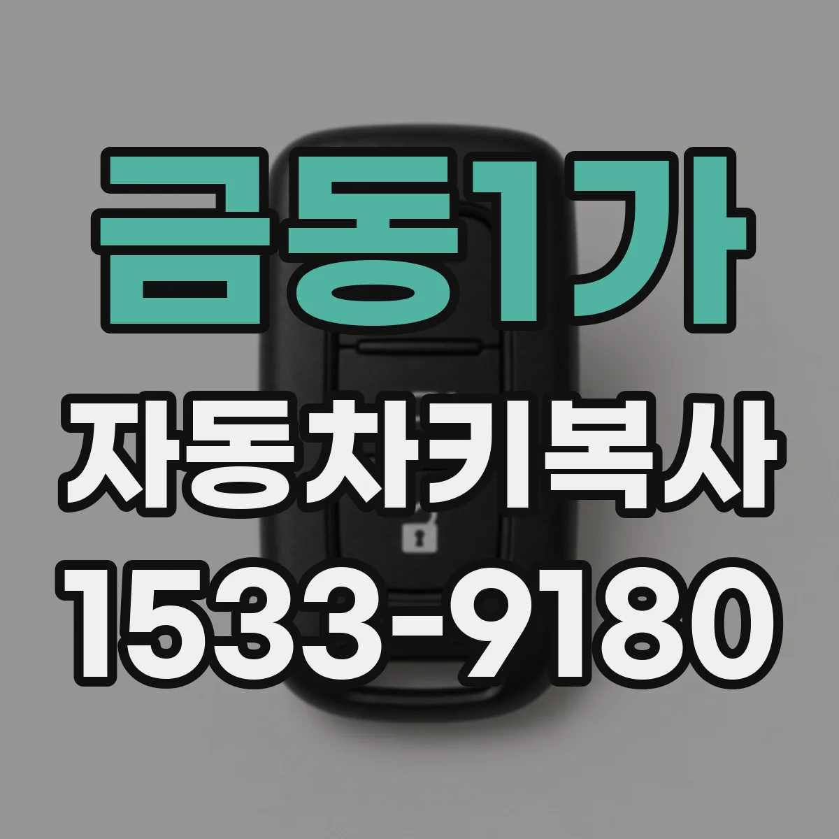 금동1가 자동차키복사