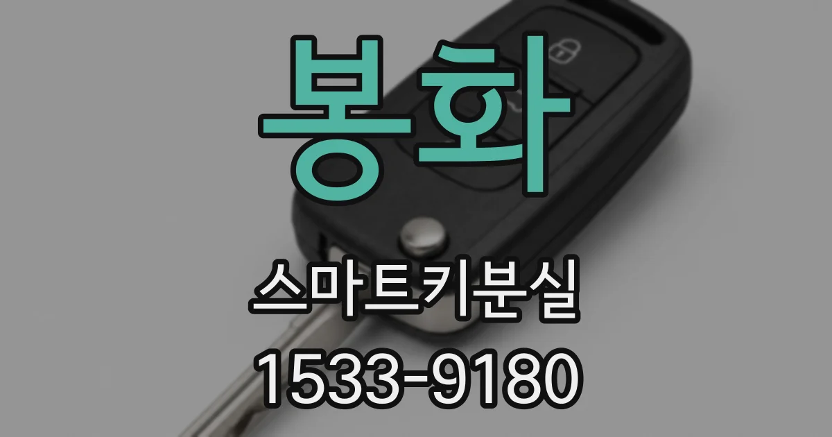 봉화 스마트키분실
