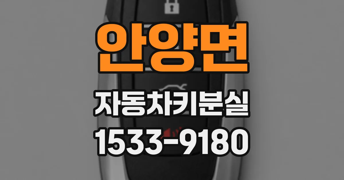 안양면 자동차키분실