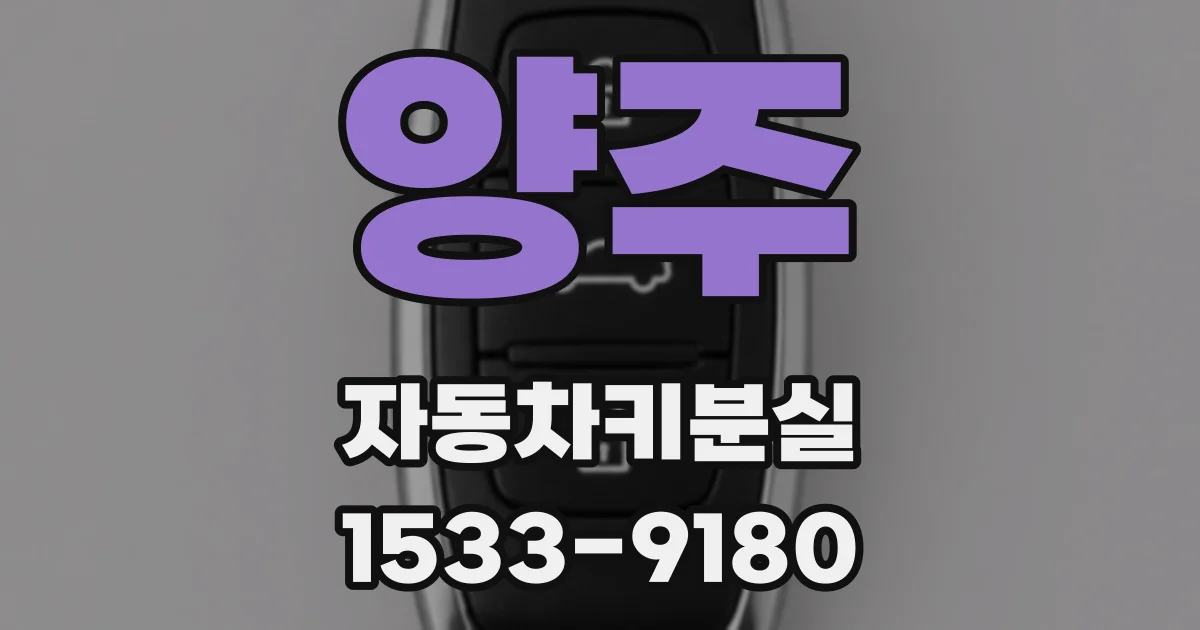 양주 자동차키분실