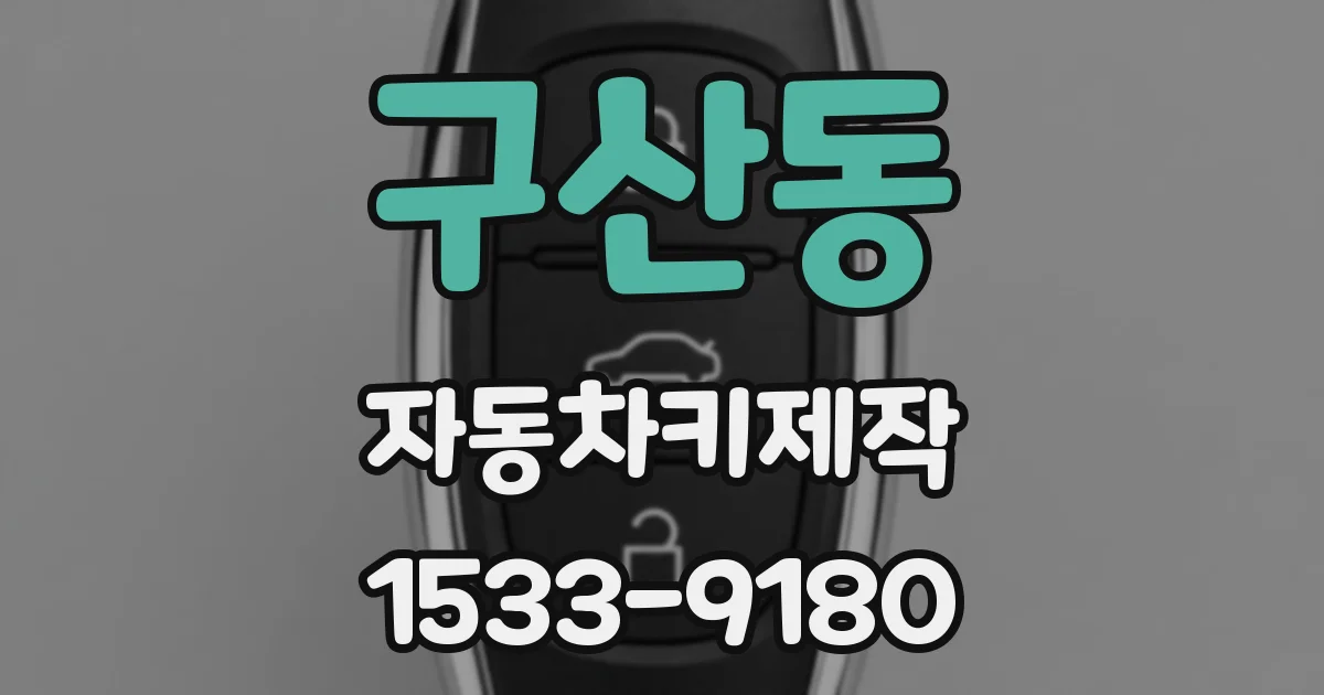 구산동 자동차키제작