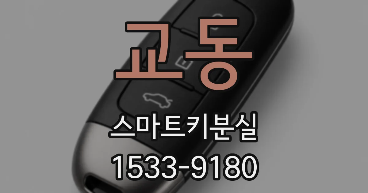교동 스마트키분실