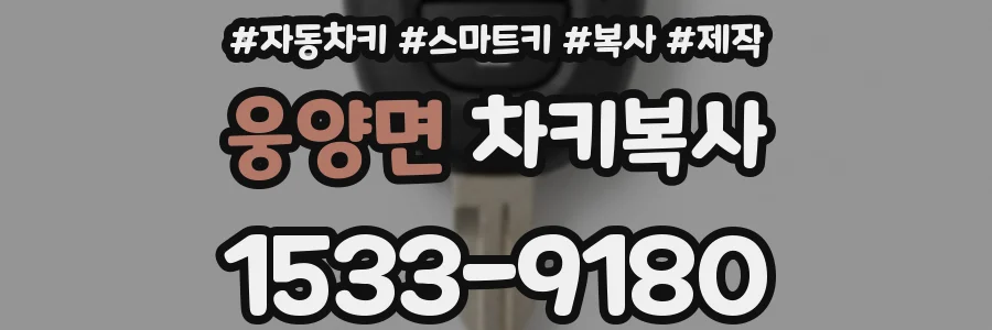 웅양면 차키복사