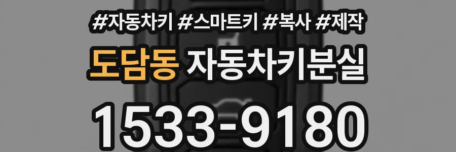 도담동 자동차키분실