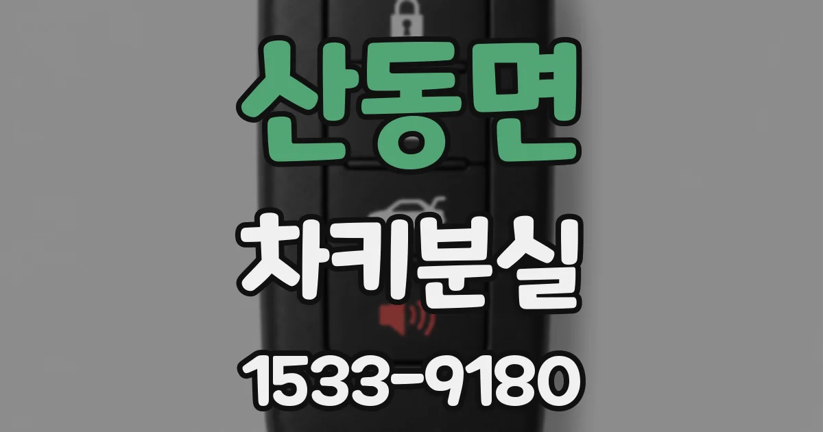 산동면 차키분실