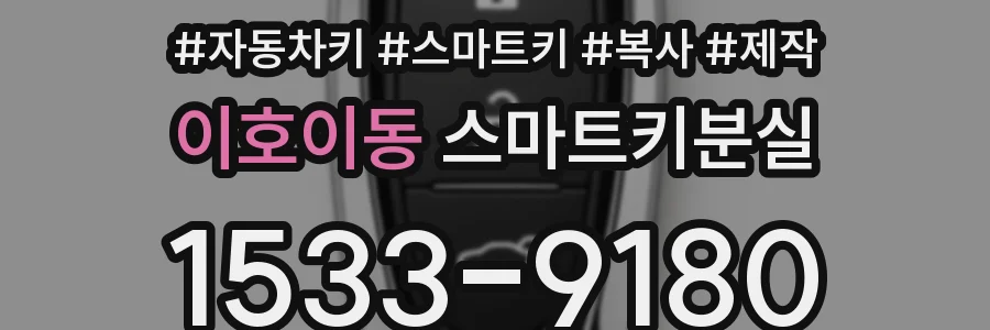 이호이동 스마트키분실