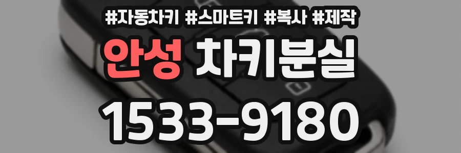 안성 차키분실