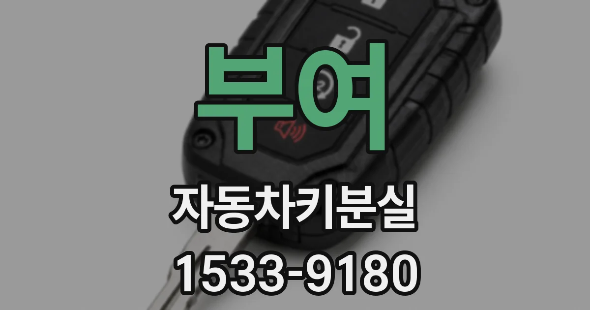 부여 자동차키분실