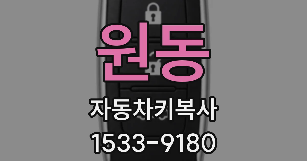 원동 자동차키복사