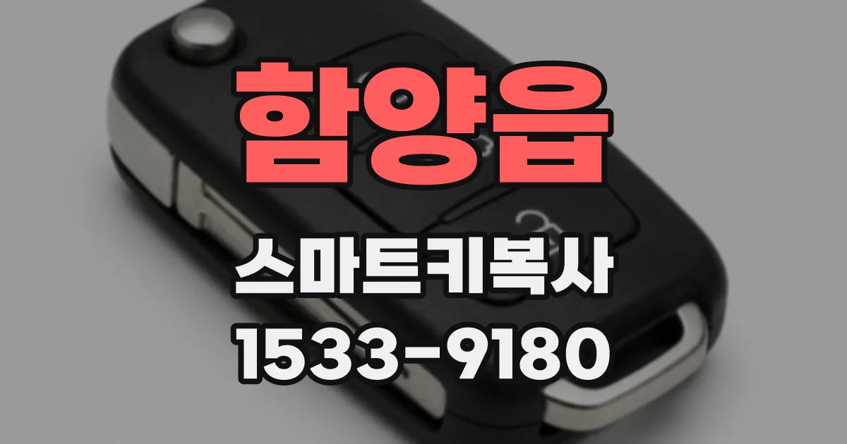 함양읍 스마트키복사