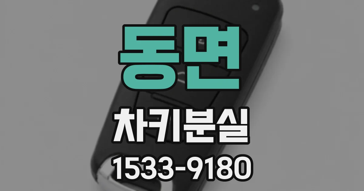 동면 차키분실