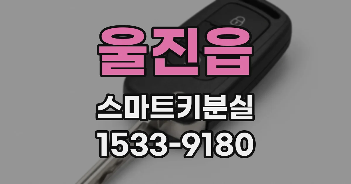 울진읍 스마트키분실