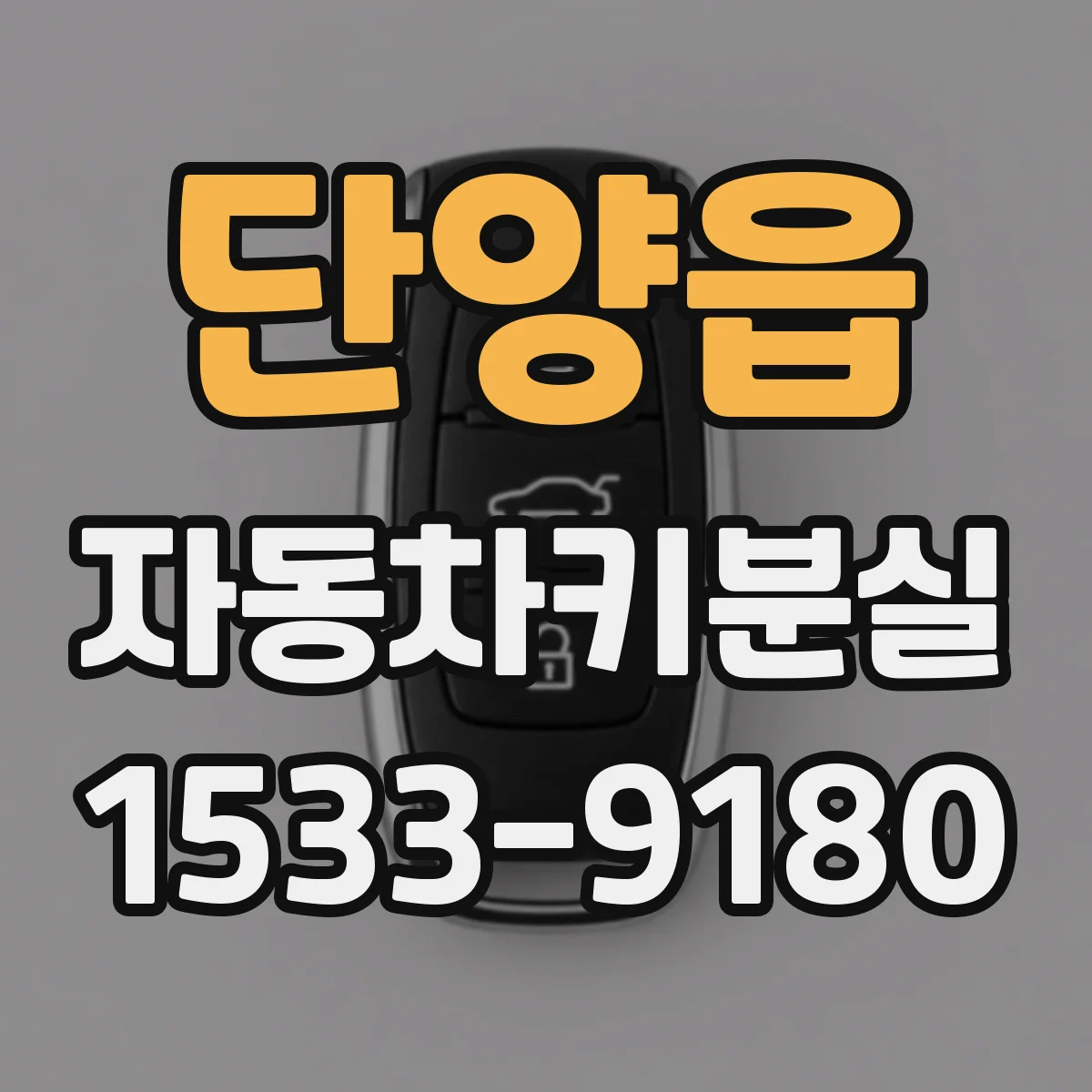 단양읍 자동차키분실