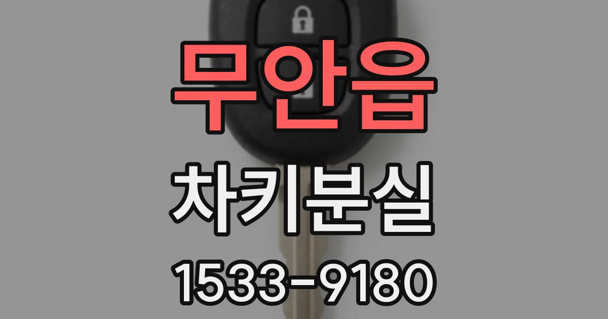 무안읍 차키분실