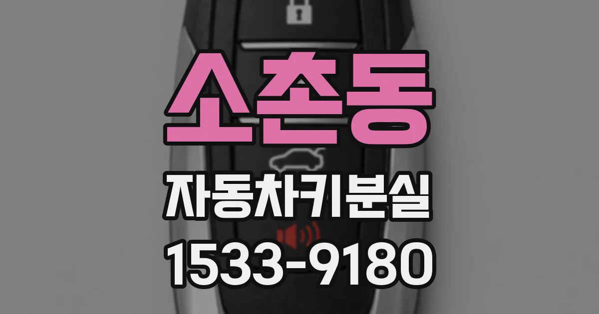 소촌동 자동차키분실