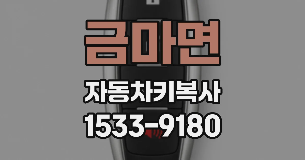 금마면 자동차키복사
